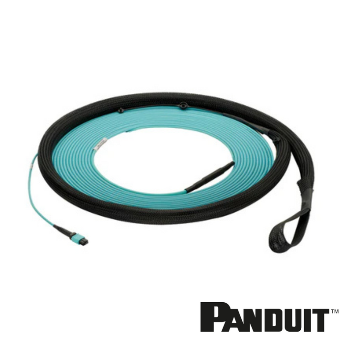 PANDUIT HD Flex™ PanMPO OM4 12-Fibre Small Diameter Fibre Trunk Cables | B2Ca | Selector