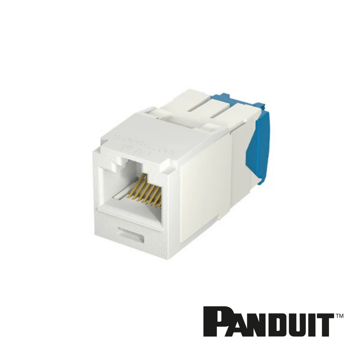 PANDUIT Mini-Com® Cat6a RJ45 Universal TG Module | UTP — Networks Centre