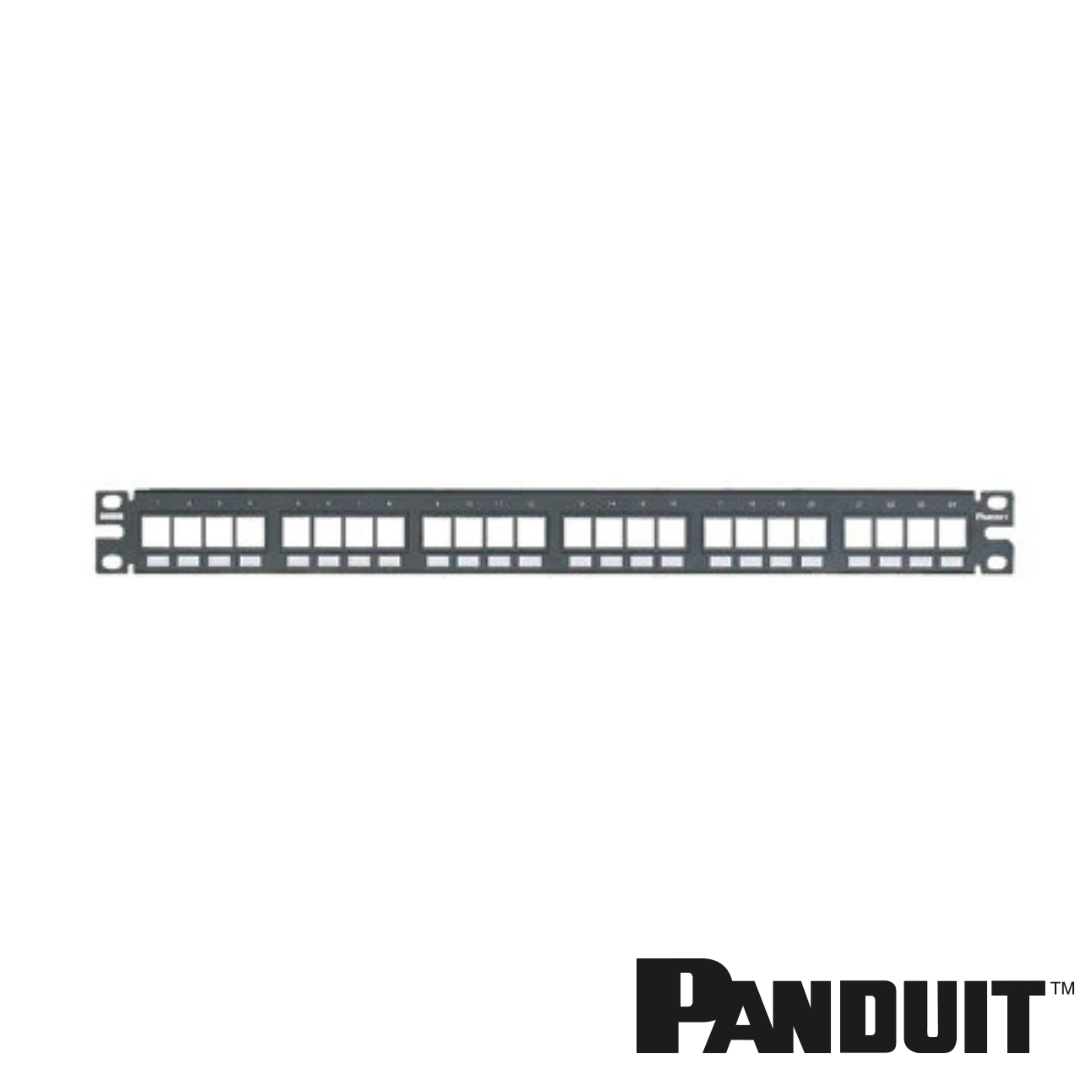 PANDUIT NetKey 24-Port Flush Mount Modular Patch Panel | 1RU — Networks ...
